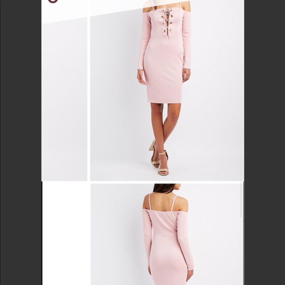 Rose long sleeve Charlotte Russe dress